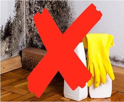 Mold abatement don't use rubber gloves and home items