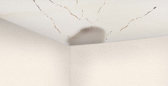 Ceiling Water Damage What It Is And How To Prevent It Entrusted,Gold Colored Stainless Steel Jewelry